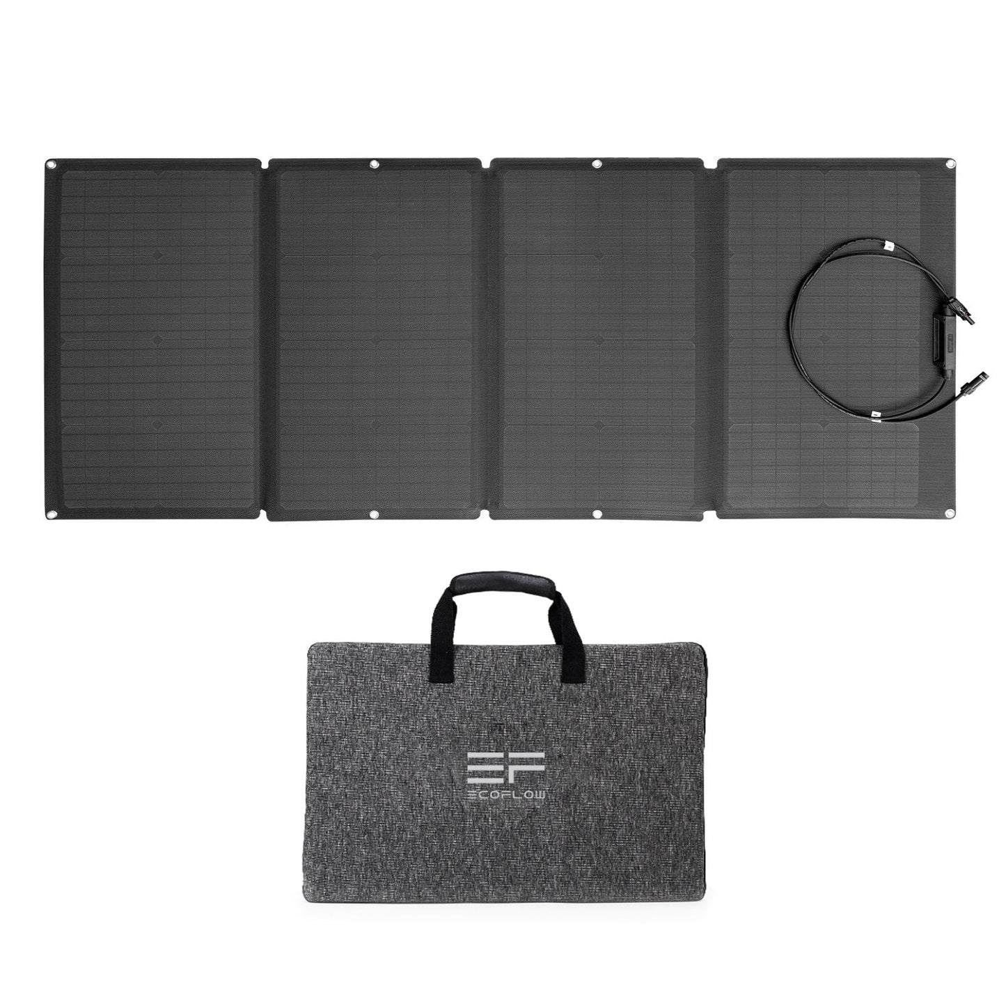 EcoFlow DELTA 3 Plus + 2*110W Solar Panel
