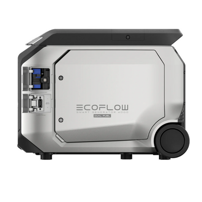 Smart Generator 4000（Dual Fuel)