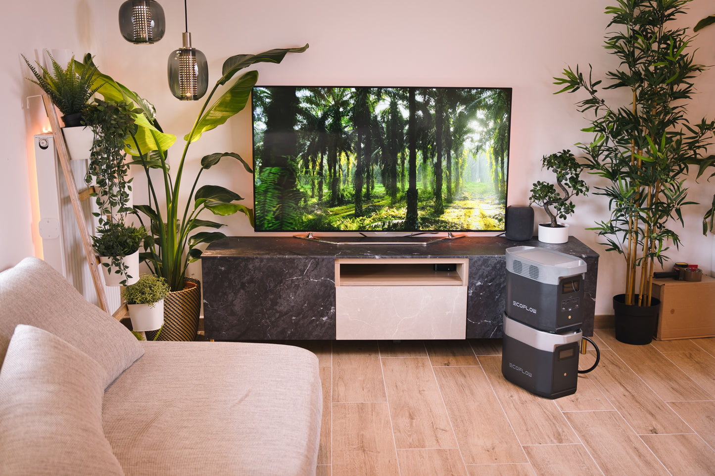 EcoFlow DELTA 2 Smart Extra Battery